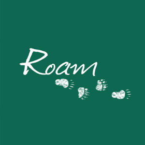 Roam Transit