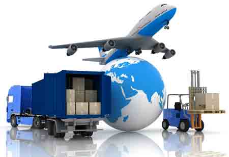 Ava Mitchell,Director of Ship Repair Services,Kwoon Chung Bus Holdings Limited | Transportation Review